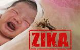 寨卡病毒可能导致男性不育
