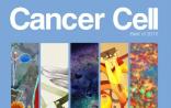 Cancer Cell 2015年度最受关注的研究及综述TOP11