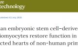 猴子的心都被“修”好了，人类还远吗？干细胞 “重生”人心脏指日可待