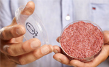 实验室生产“人造肉”将进入餐桌，谁来监管这个新兴产业？