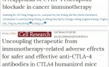过去的理论又错了，两篇研究长文报道CTLA-4抗体在肿瘤免疫治疗中的新机制新模