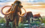 CRISPR让猛犸象起死回生？
