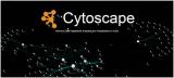 【看图说话】Cytoscape的“傻瓜式”教程