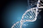 TED演讲 | 个体化DNA测试时代的到来