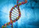 基因测序普遍应用仍待临床准入