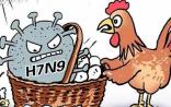专家：此次H7N9病毒变异不是坏事