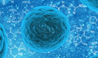 三代试管「乱象」缘何产生？人口出生率断崖式下降与患者成功生育需求困局的