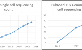 3篇高分文章，10x Genomics带你玩转分化再生研究