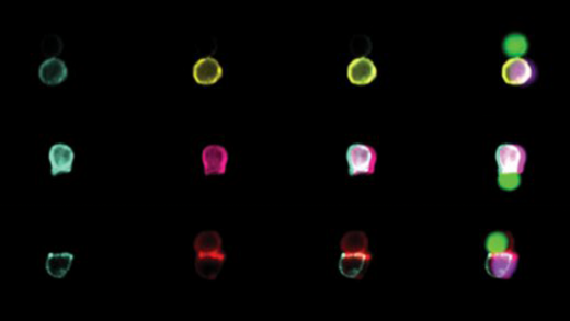 1639993611764758.png 21a764d27d4ec4a383d2991058b60645.png