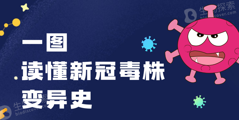 aef7afedb125969cdb70d4d3b3680871.png