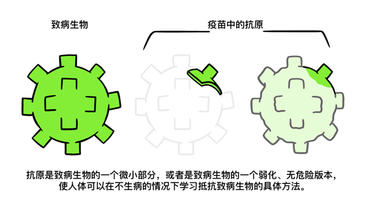 640 (6).png