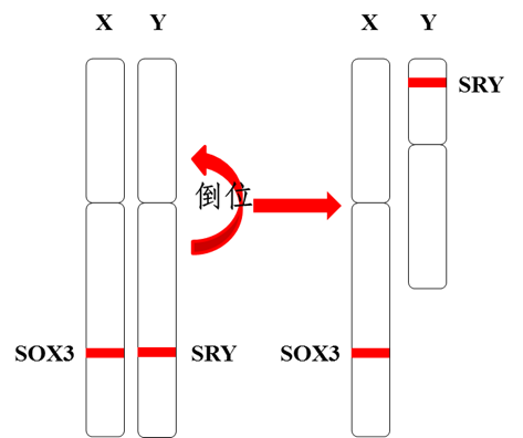 640 (14).png