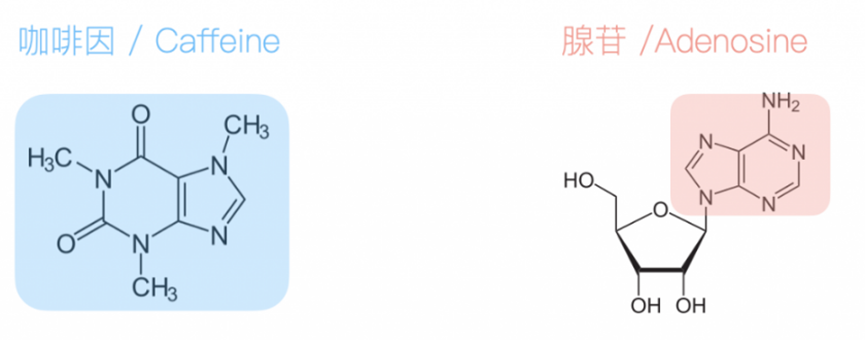 微信图片_20230208170743.png