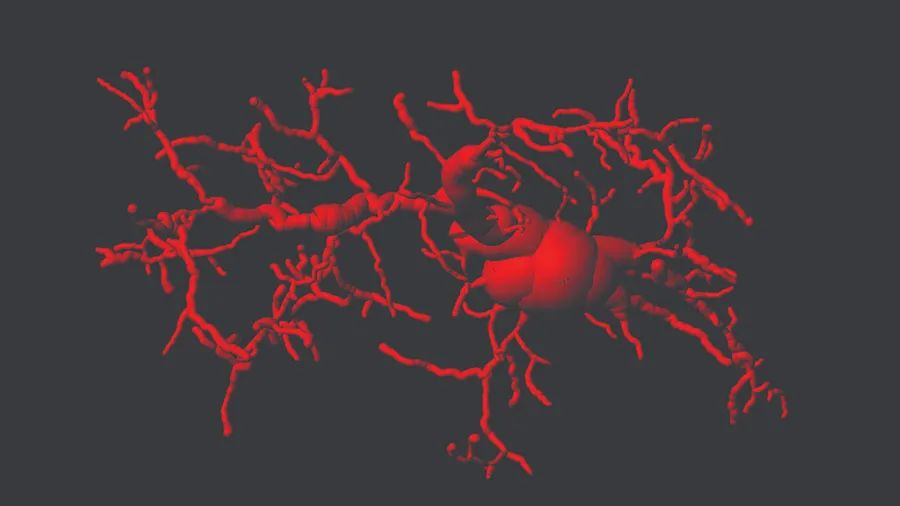 1693192714417652.jpg 1693192714417652.jpg