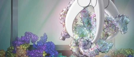 专攻RNA 3D结构预测，Atom