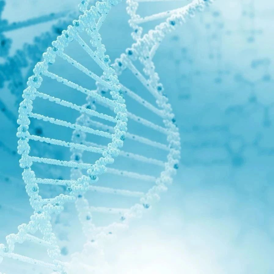Science子刊：世界首个能抵