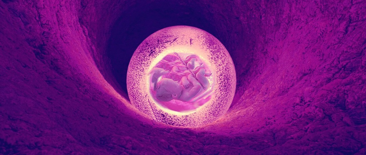 ​胚胎干细胞全能性的调