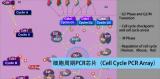 细胞周期PCR芯片（Cell Cycle PCR Array）技术服务（促销）