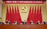 十八届四中全会将对CFDA产生什么影响？