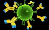 细胞治疗临床招募272人，有望打破肝细胞癌免疫细胞治疗空白