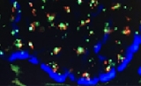 康录生物完成3000万元A轮融资，苏州元生创投独家投资