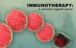 癌症免疫疗法的近几年的研究进展