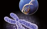 政策扶持加码基因检测 细胞免疫疗法享红利