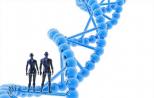 创新医疗器械审批加速 基因测序优先受益