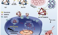 国家纳米中心在核酸自组装纳米结构的肿瘤靶向治疗方面获进展