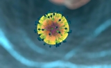 新型HIV候选疫苗安全！可使健康成人和猴子产生免疫反应