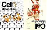 Cell Metabolism：2014年度最佳论文 TOP10