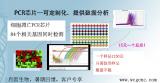 细胞凋亡PCR芯片暑期促销1250元一个样品