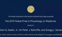 “氧感知通路”获2019年诺贝尔生理学或医学奖