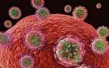 Nature Medicine：HIV“黄金”抗体因人而异的3大影响因素