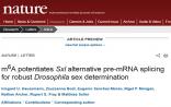 Nature发表表观遗传学重要发现 决定性别的RNA甲基化
