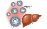 Nature Medicine：揭示乙肝难愈之谜 饥饿免疫反应或可治愈