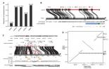 《Science》发布重大研究成果—PacBio单分子实时测序技术打造高质量大猩猩基因
