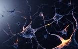 Trends系列综述：神经系统居然也参与肿瘤生长
