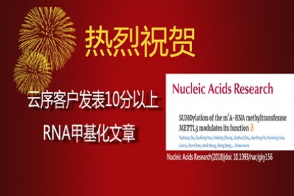 重磅！10分以上RNA甲基化文章发表！