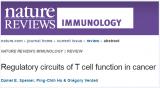 Nature深度好文：看这篇T细胞综述，做更好的免疫疗法！