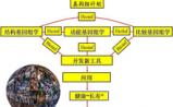 新一代测序：影响的不只是医疗行业