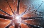 Nature子刊：帕金森症起源观念受到挑战
