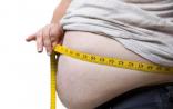 深度研究：为何肥肉独独青睐你的腰？