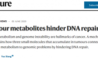 一探究竟！Nature：肿瘤代谢物如何阻碍DNA修复