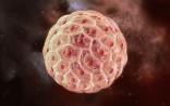 Cell：癌症起因争论之内因篇——干细胞致癌说