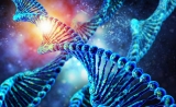 广州生物院发现DNA被动去甲基化的新作用