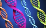 Science：父母的基因有多“牛”？不遗传都会影响孩子！