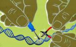 Nature发布CRISPR-Cas重要研究发现
