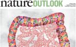 【Nature特刊】关于肠易激综合症