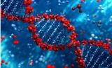 疾病预测等走近大众：基因检测能“剧透”人生？